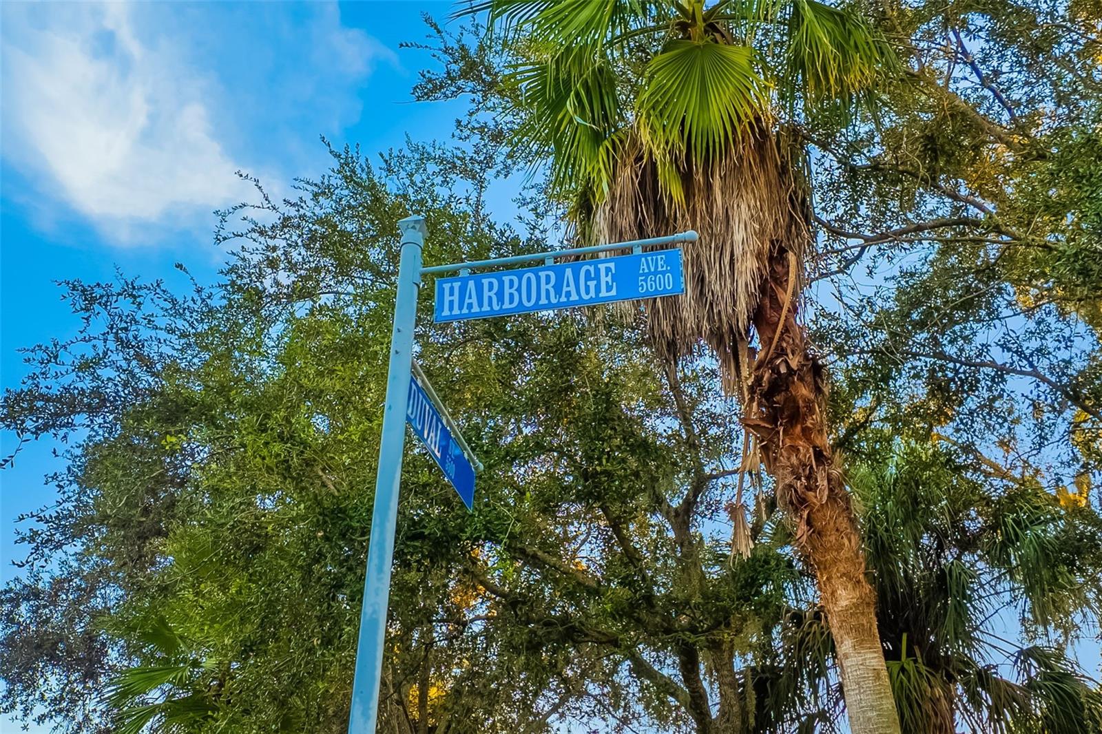 HARBORAGE ON BRADEN RIVER III PH I - Residential