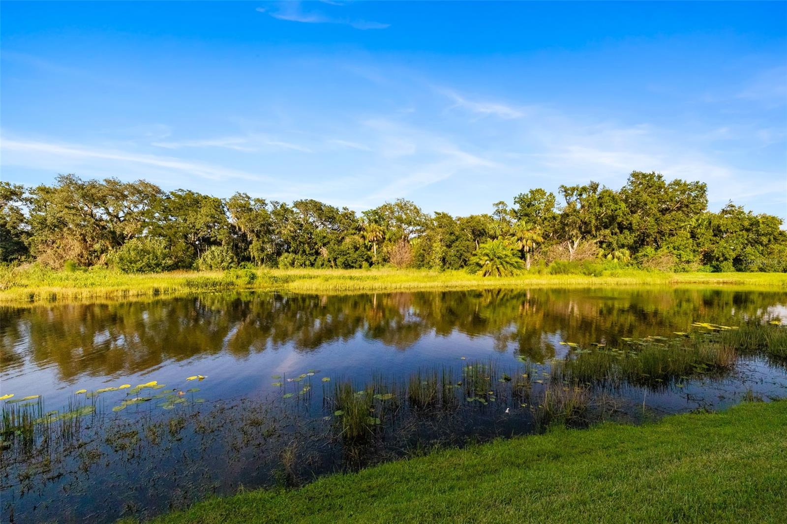 HARBORAGE ON BRADEN RIVER III PH I - Residential