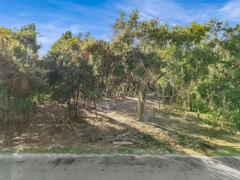 705 NEWELL HILL ROAD LEESBURG FL 34748