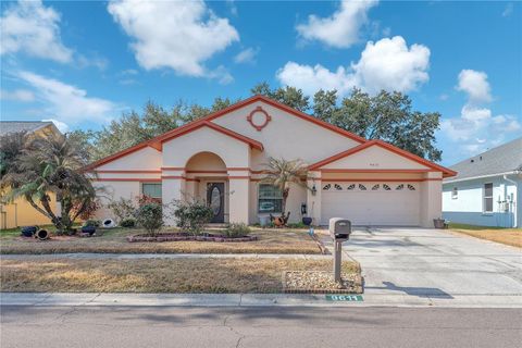 9611 CYPRESS BROOK ROAD TAMPA FL 33647