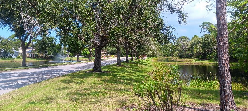 RIVENDELL WOODLANDS - Residential