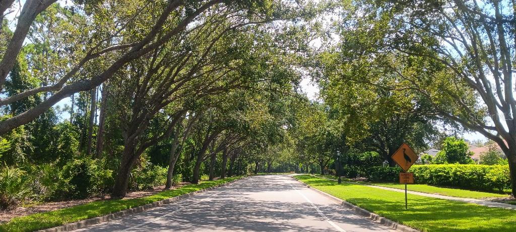 RIVENDELL WOODLANDS - Residential