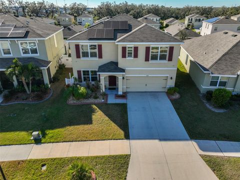 A home in RIVERVIEW