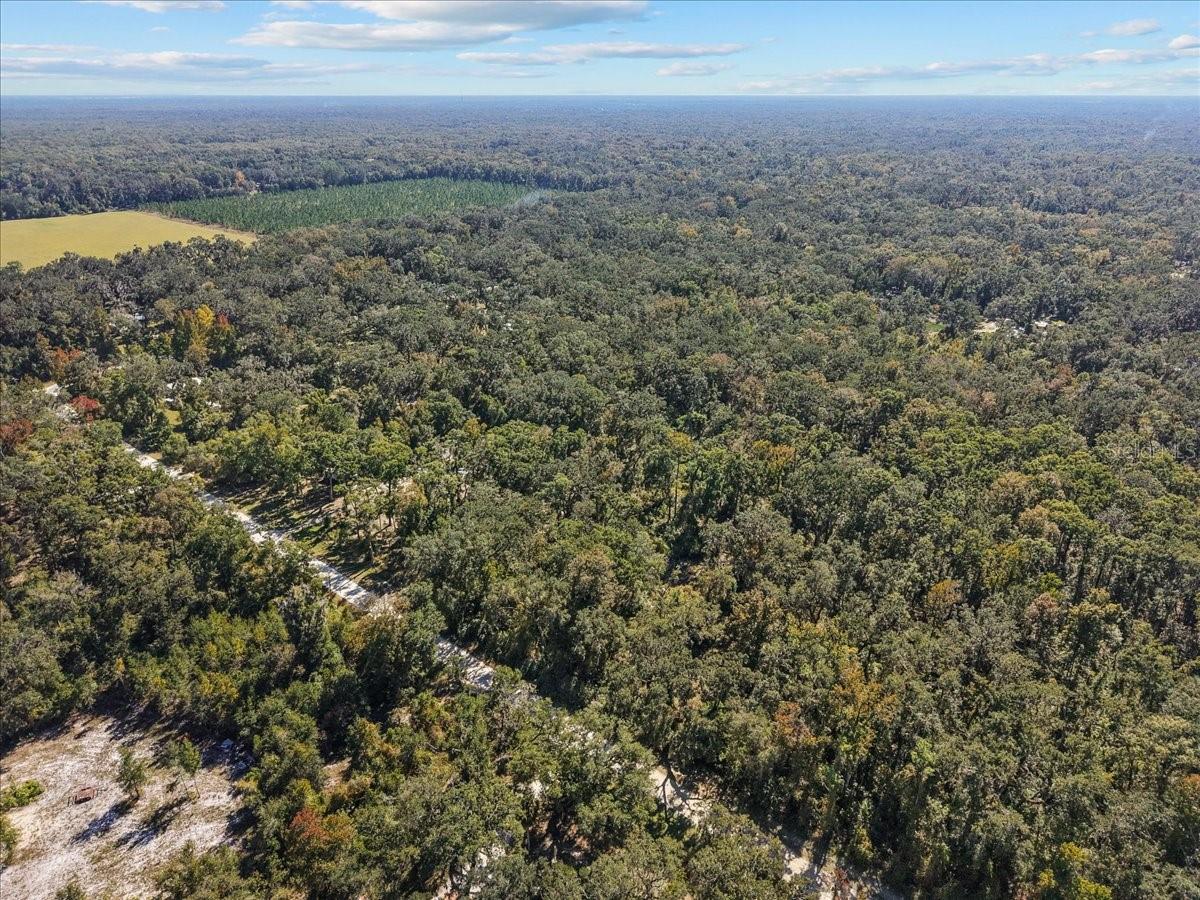 HAMMOCK HLNDS - Residential