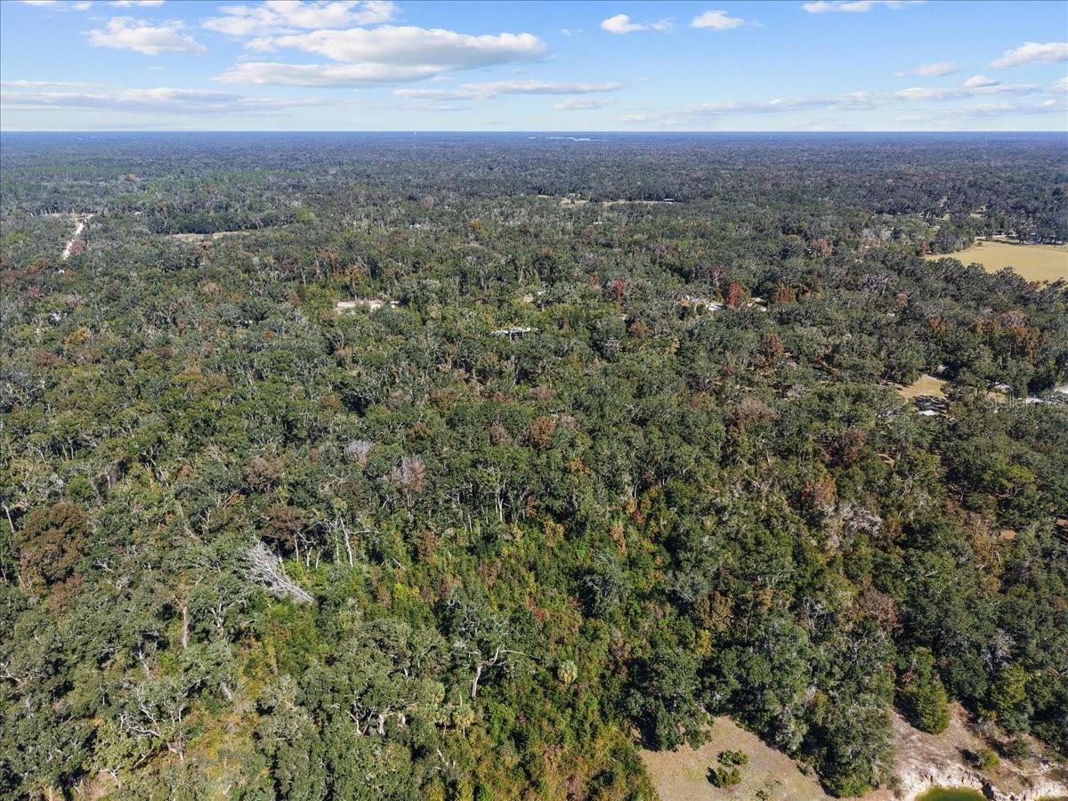 HAMMOCK HLNDS - Residential