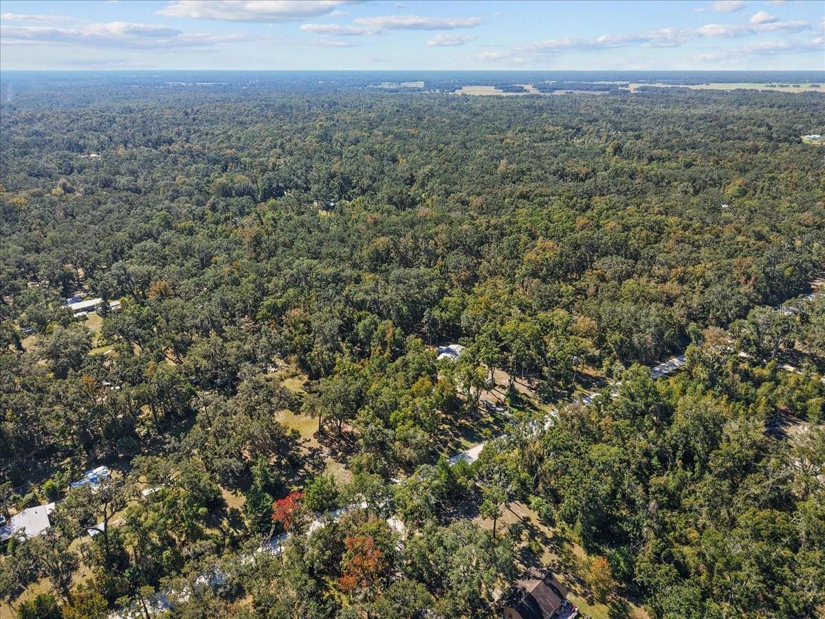 HAMMOCK HLNDS - Residential