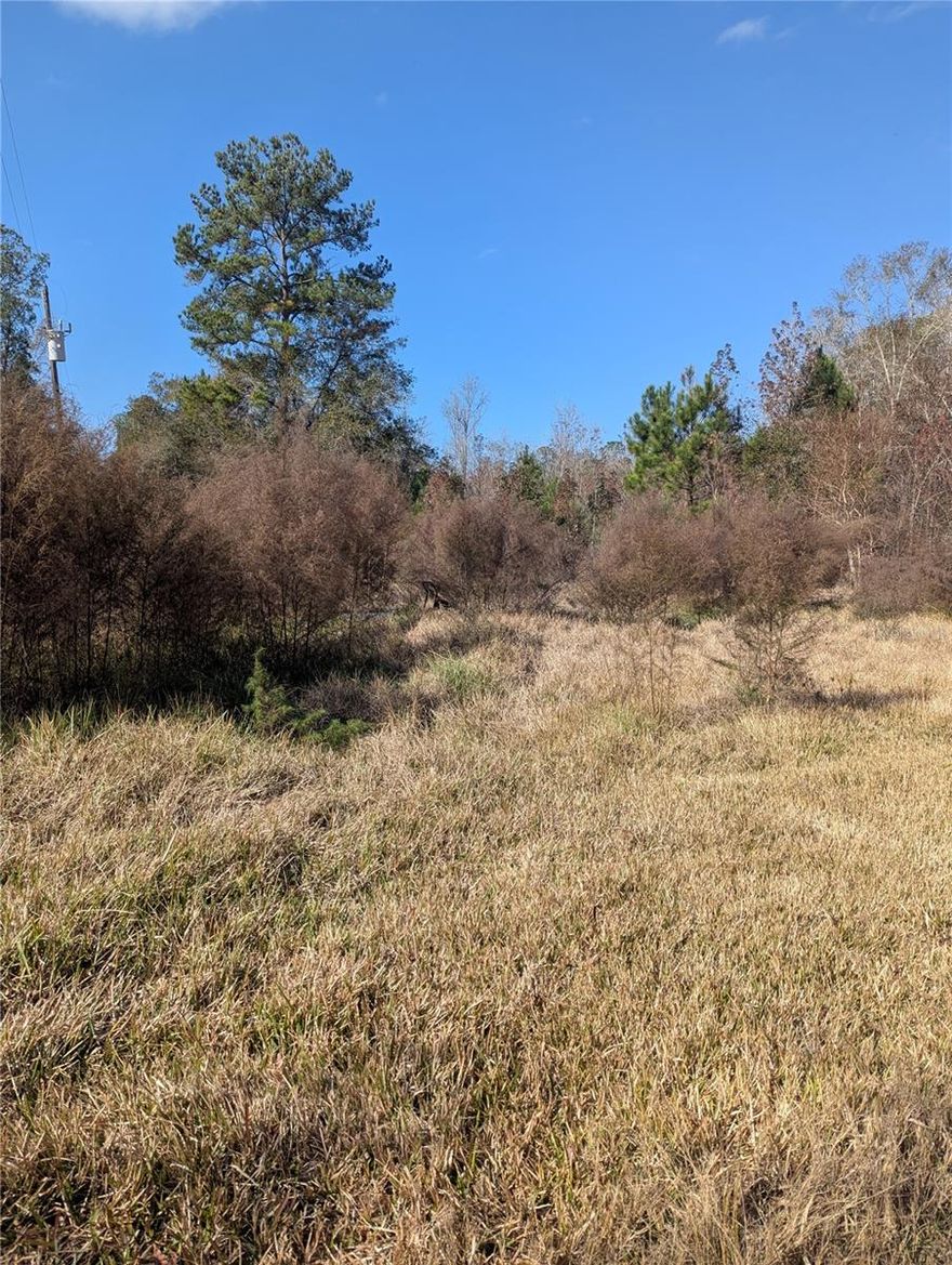 10.7 ACRES – WELL & SEPTIC IN PLACE! Rare opportunity to own 10.7 private acres in North Alachua County (LaCrosse). High and dry acreage perfect for a new custom home or farm. Value-Add: Property features an existing well and septic system (condition unverified) and an uninhabitable mobile home. Located just minutes from Gainesville and the Santa Fe River. No HOA! Bring your builder and enjoy the best of country living with city conveniences just a short drive away. Sold As-Is.