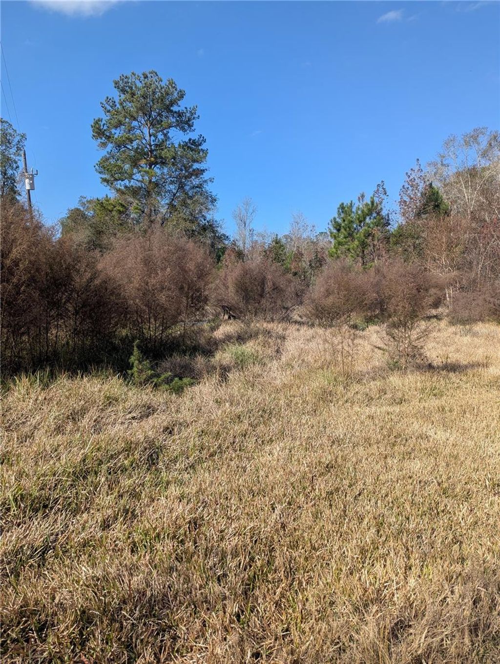 Photo of 4814 NW 244th Avenue, Alachua, FL 32615 (MLS # GC536198)