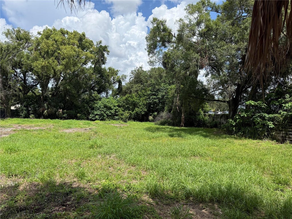 Photo of 3914 E Louisiana Avenue, Tampa, FL 33610 (MLS # TB8547636)