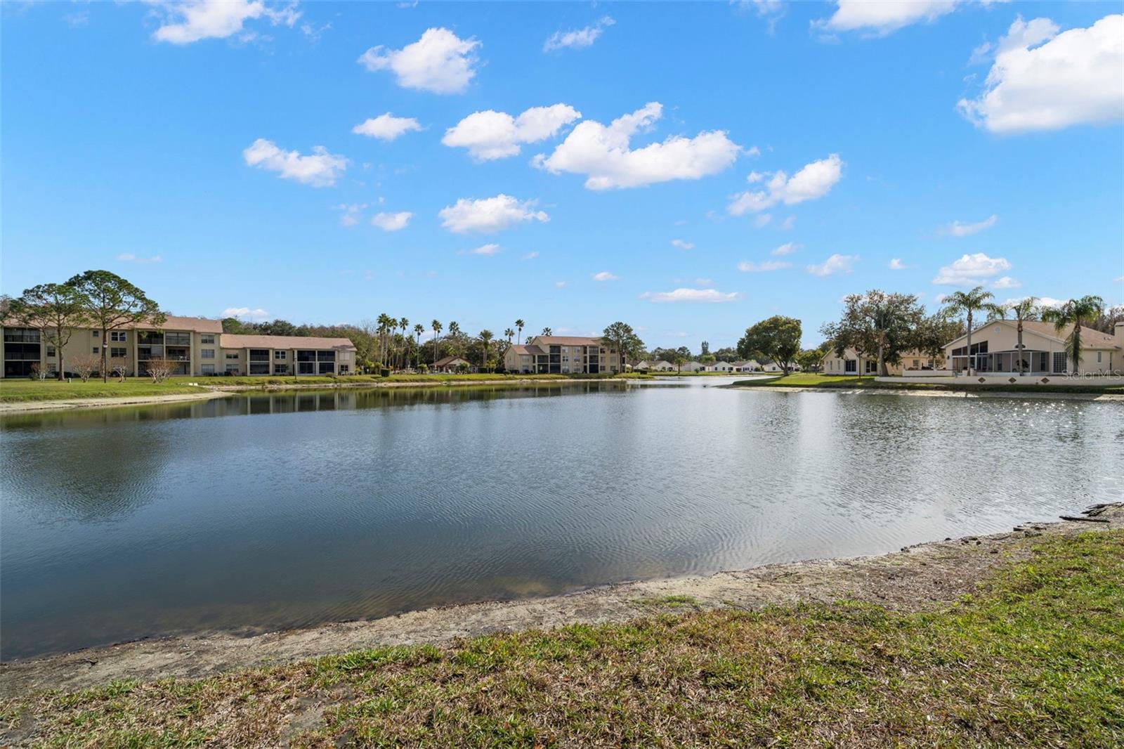 MILLPOND LAKES CONDO - Residential Lease