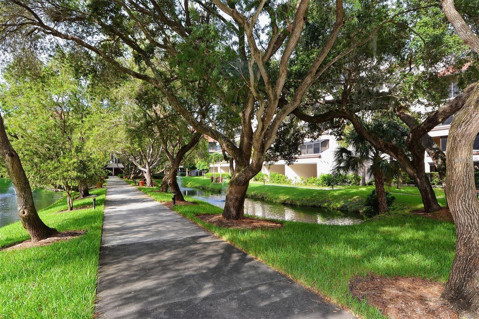 EXCELSIOR BEACH TO BAY 5 - Residential