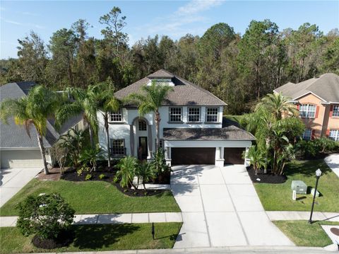 A home in WESLEY CHAPEL