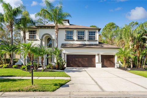 A home in WESLEY CHAPEL