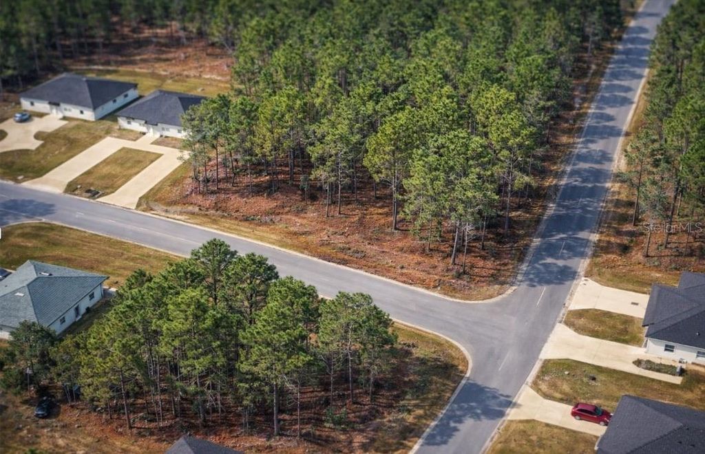 Photo of 9536 N Camel Drive, Dunnellon, FL 34434 (MLS # O6395742)