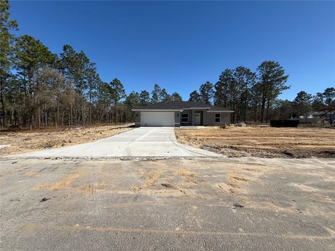 Photo of 2531 NW Smallwood Road, Dunnellon, FL 34431 (MLS # OM717868)