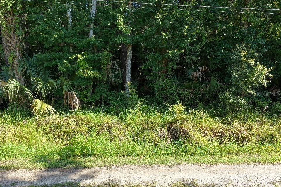 Photo of Gobbler Road, Astor, FL 32102 (MLS # TB8538882)