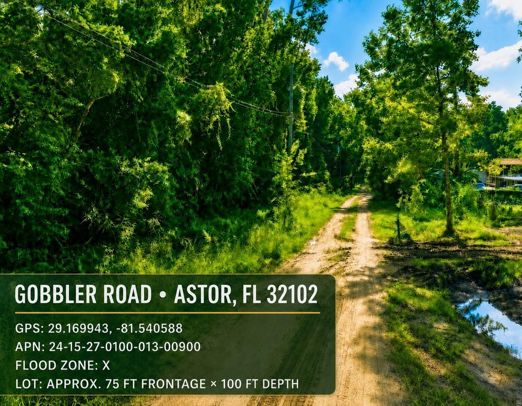 Photo of Gobbler Road, Astor, FL 32102 (MLS # TB8538882)