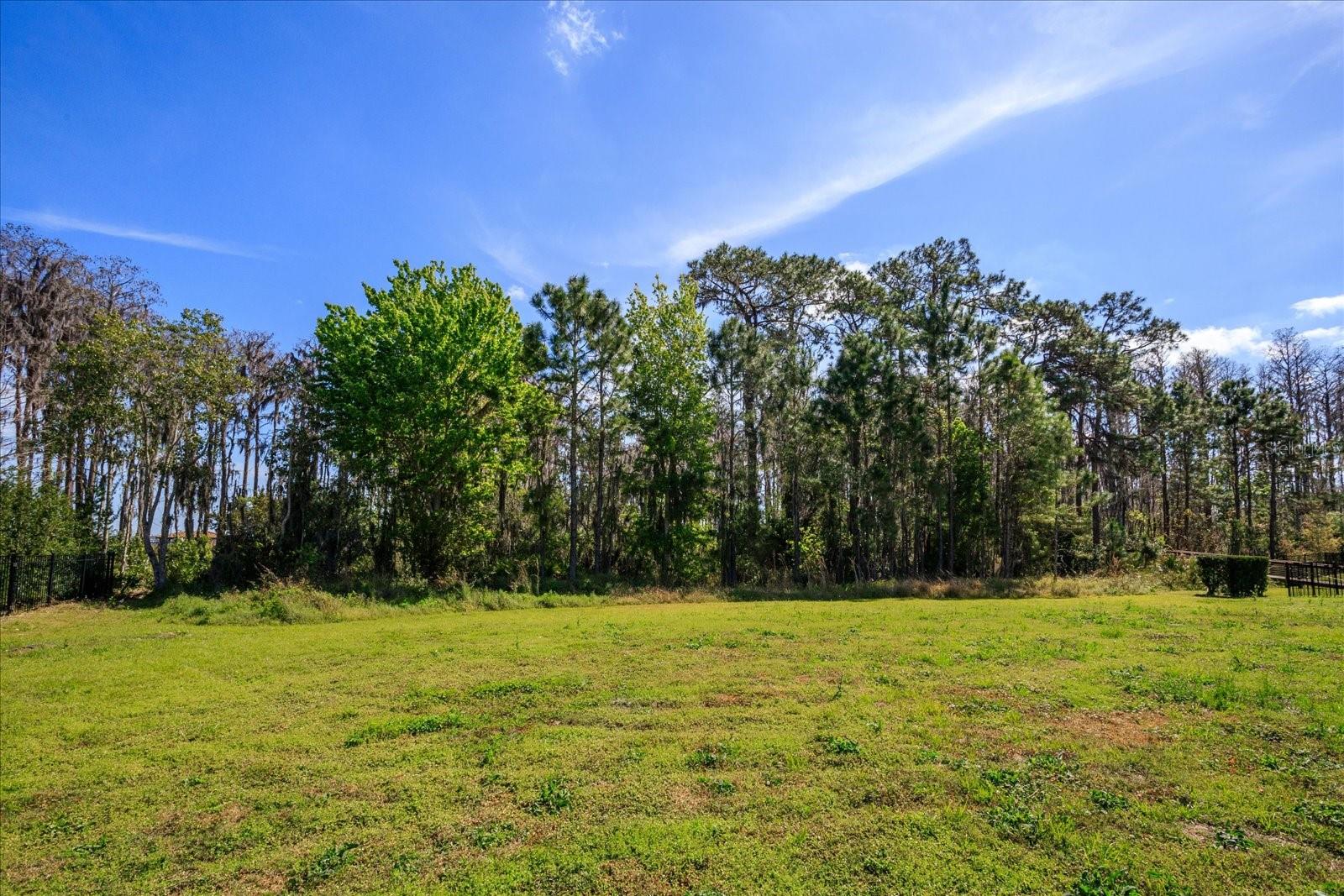 KEENE'S POINTE - Land