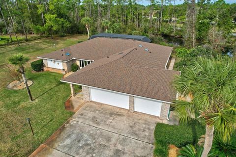 A home in PALM COAST