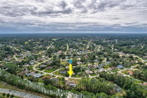 A home in PALM COAST