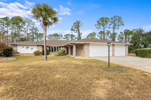 A home in PALM COAST