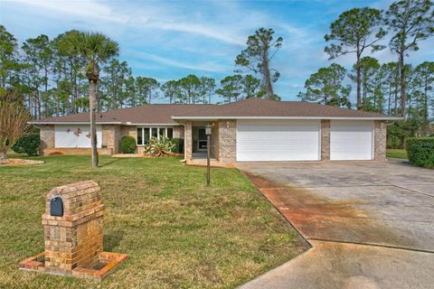 A home in PALM COAST