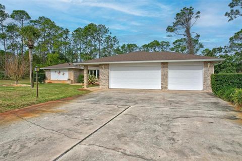 A home in PALM COAST