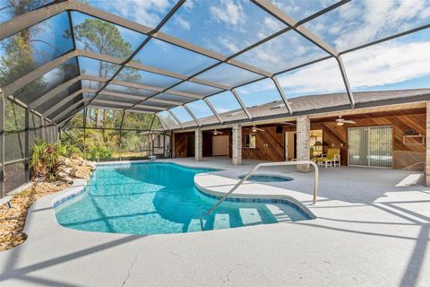 A home in PALM COAST