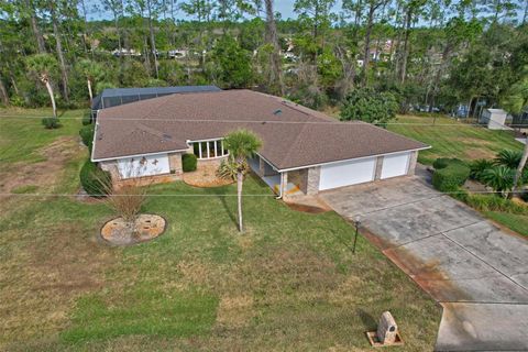 A home in PALM COAST