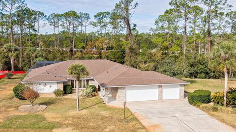 A home in PALM COAST