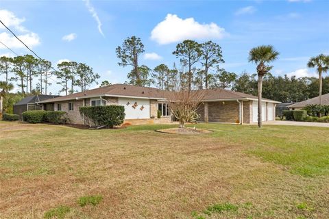 A home in PALM COAST