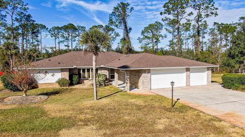 A home in PALM COAST