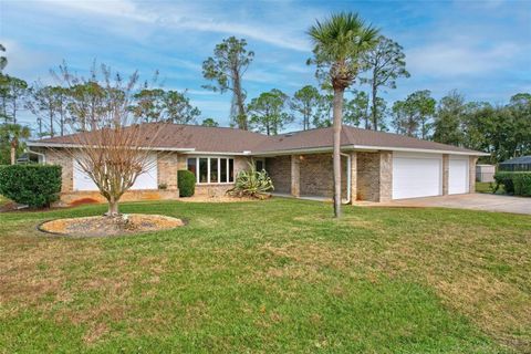 A home in PALM COAST