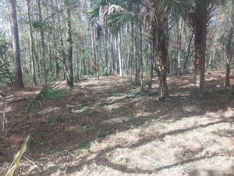 18954 COUNTY RD 329 MICANOPY FL 32667