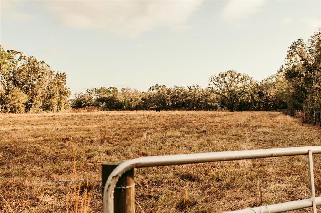 Photo of 5812 N Dormany Road, Plant City, FL 33565 (MLS # TB8462727)