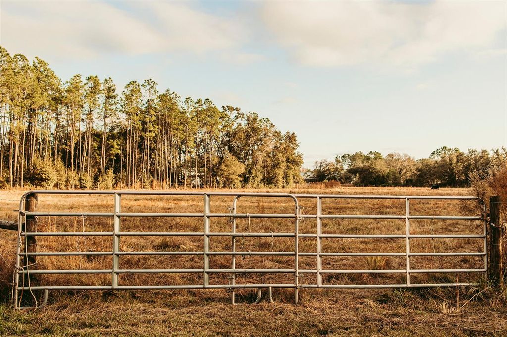 Photo of 5812 N Dormany Road, Plant City, FL 33565 (MLS # TB8462727)