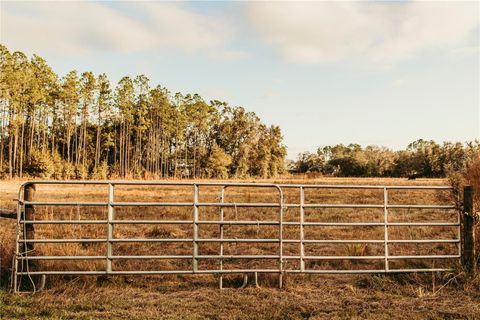 5812 N DORMANY ROAD PLANT CITY FL 33565