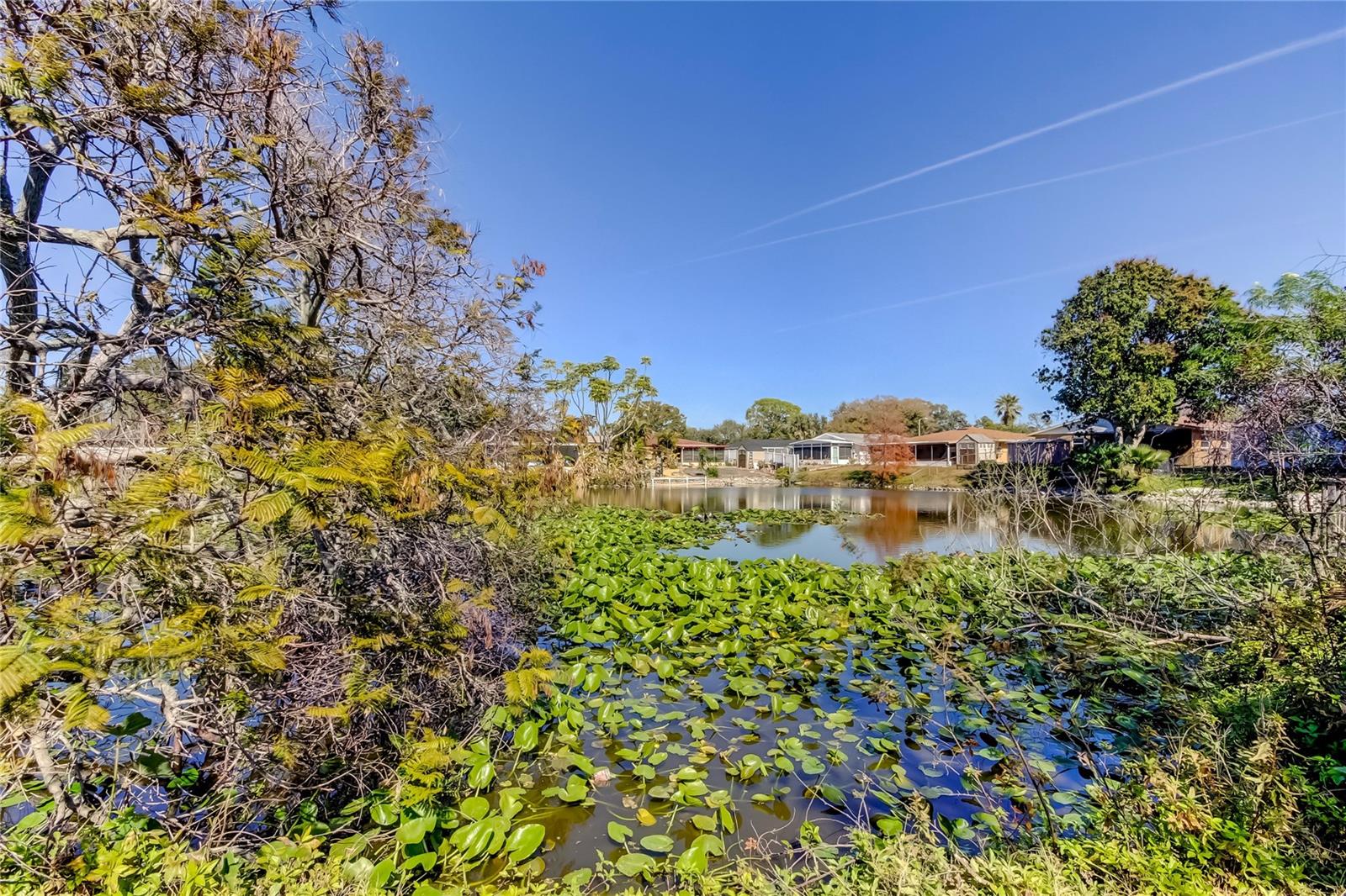FLORAL GARDENS - Residential