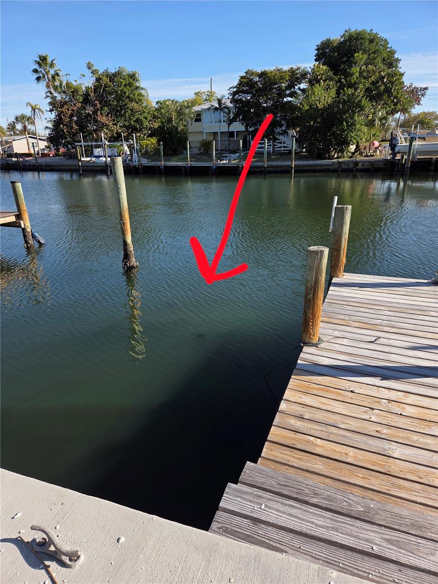 10215 MANATEE AVENUE W 1