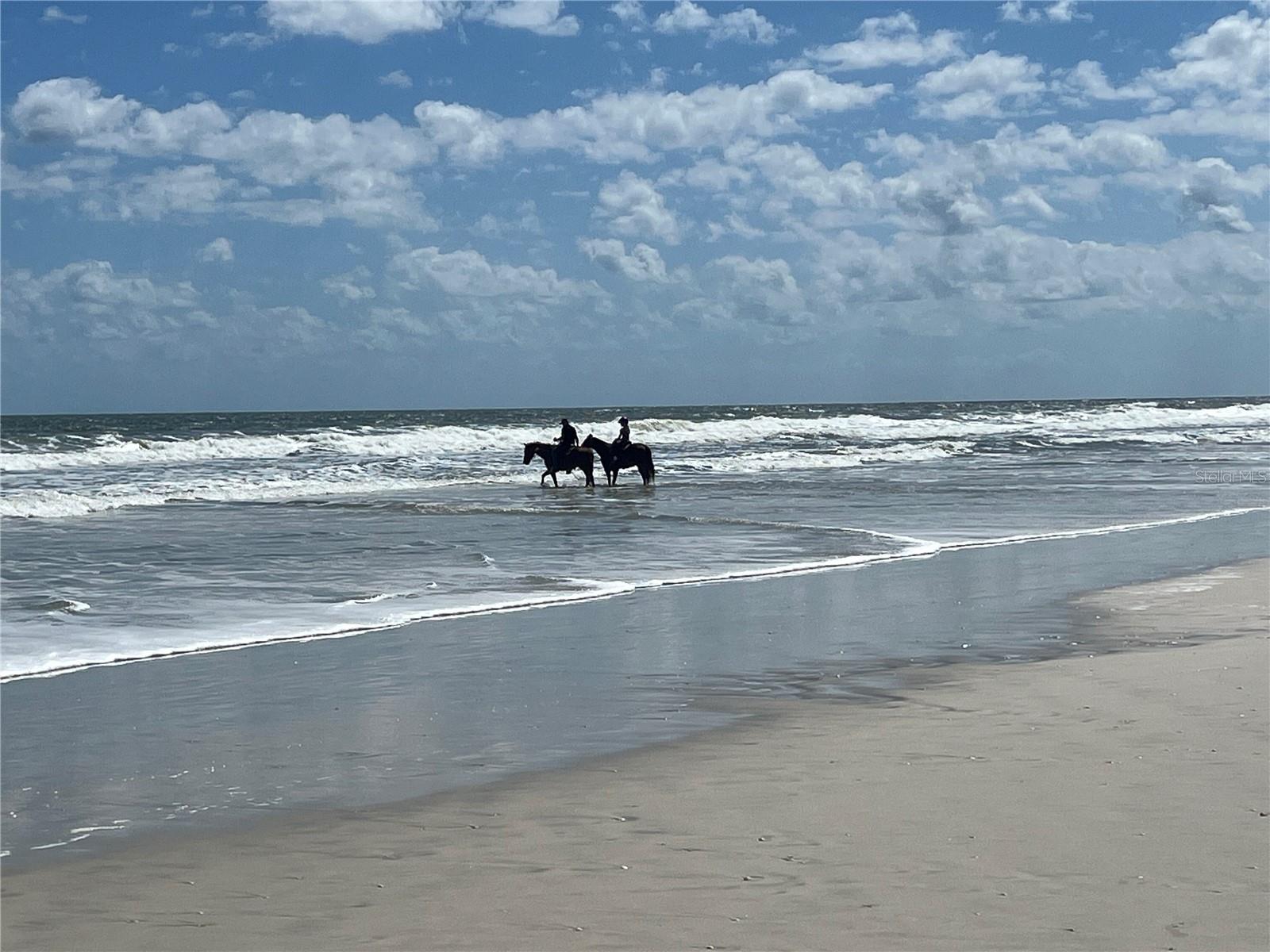 OCEAN HAMMOCK SUB - Residential