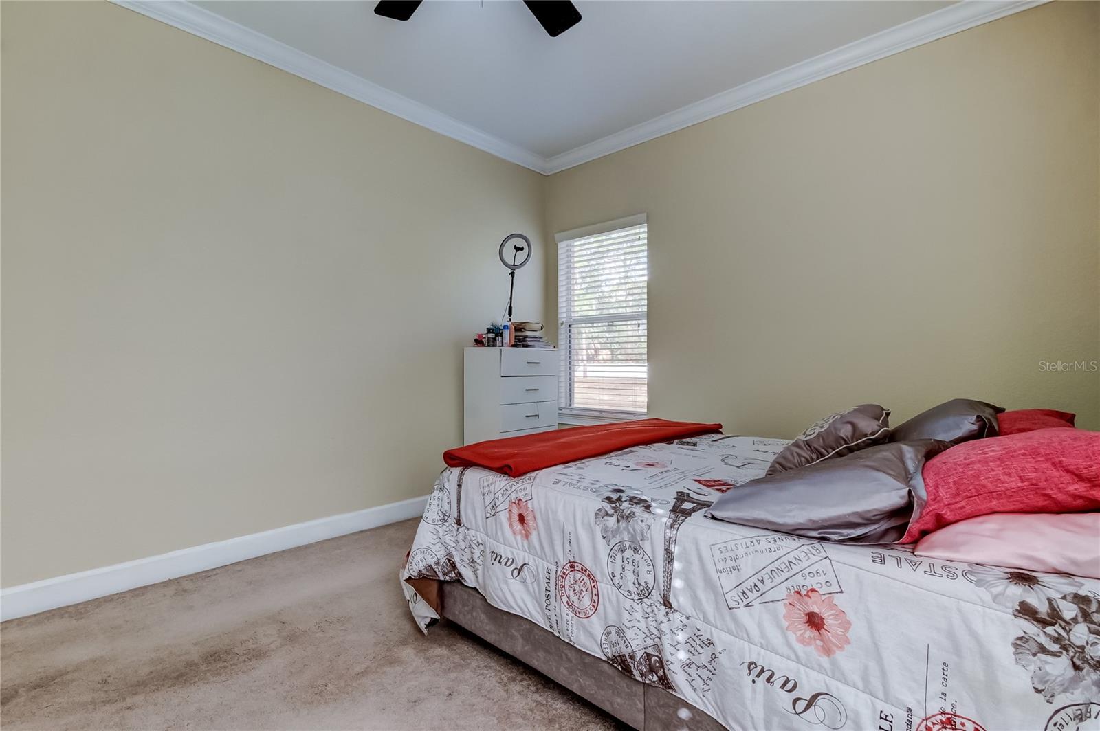 ALEXANDER WOODS TWNHMS - Residential