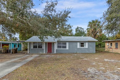 A home in MOUNT DORA