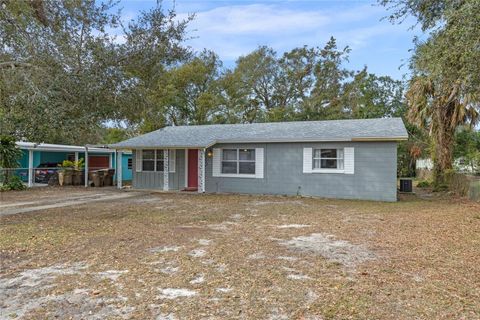 A home in MOUNT DORA