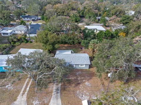 A home in MOUNT DORA