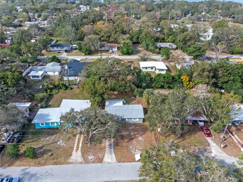 A home in MOUNT DORA