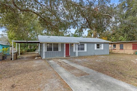 A home in MOUNT DORA