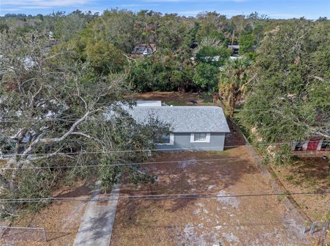 A home in MOUNT DORA