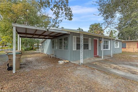 A home in MOUNT DORA