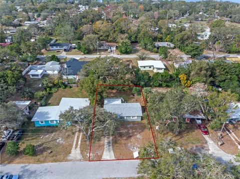 A home in MOUNT DORA