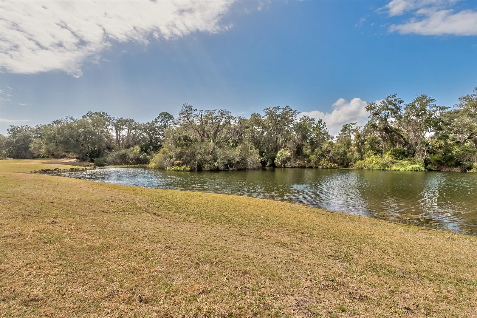 Residences At Turnbull Bay - Residential